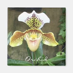 Orchid Magnet
