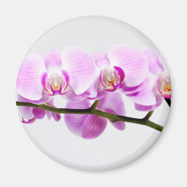 orchid magnet (Front)