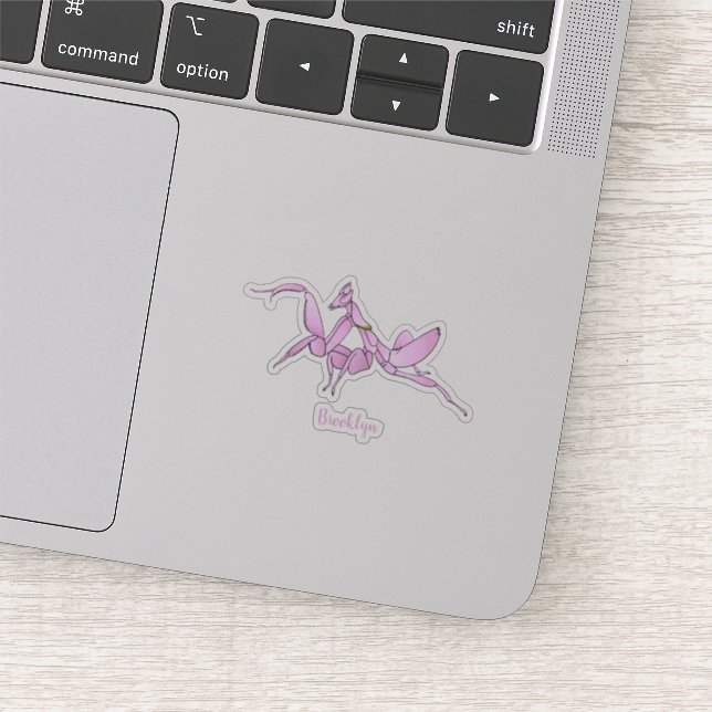 Orchid mantis cartoon illustration  (Detail)