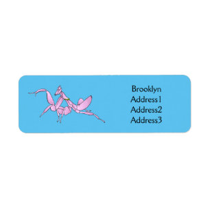 Orchid mantis cartoon illustration