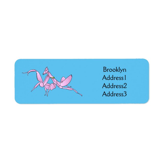 Orchid mantis cartoon illustration (Front)