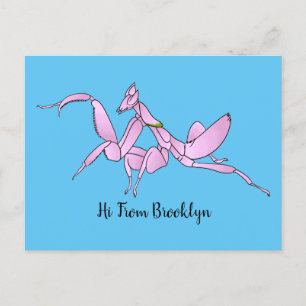 Orchid mantis cartoon illustration postcard