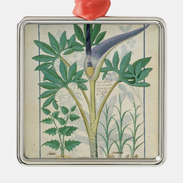 Orchid Metal Ornament (Front)
