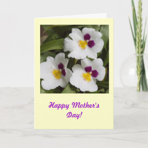 Orchid Mother's Day Card