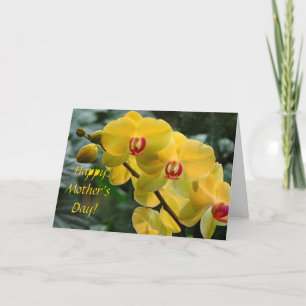 Orchid Mother's Day Greeting Card