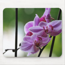 Orchid mouse pad