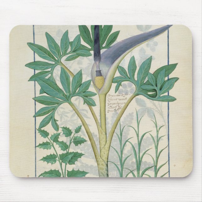 Orchid Mouse Pad (Front)