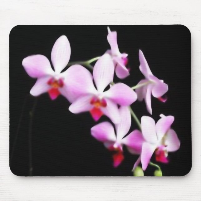 Orchid Mouse Pad (Front)
