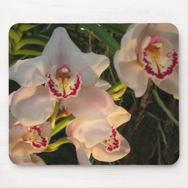 Orchid Mouse Pad (Front)