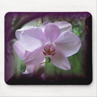 Orchid Mouse Pad