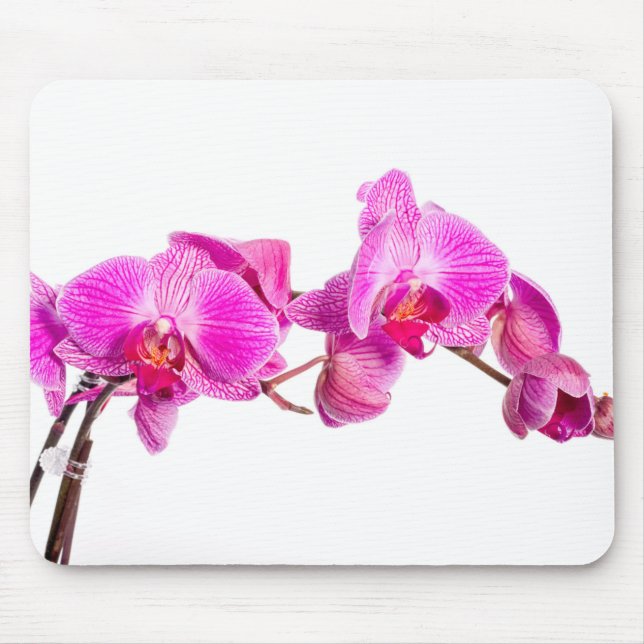 Orchid Mouse Pad (Front)