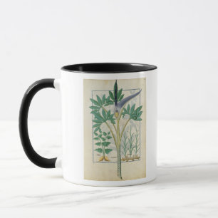 Orchid Mug