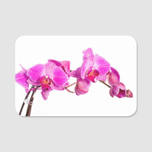 Orchid Name Tag
