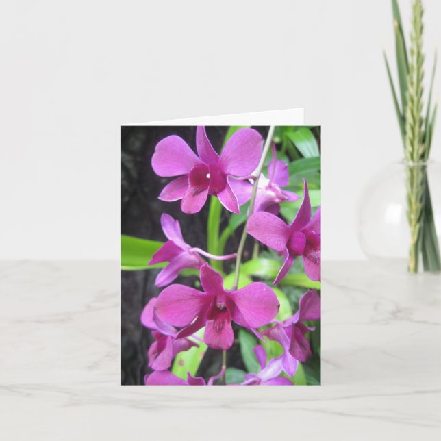 Orchid notecard (Front)