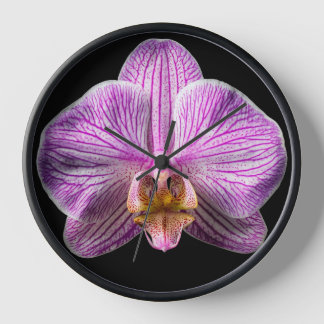 Orchid on Black Background Clock