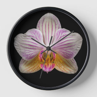 Orchid on Black Background Clock
