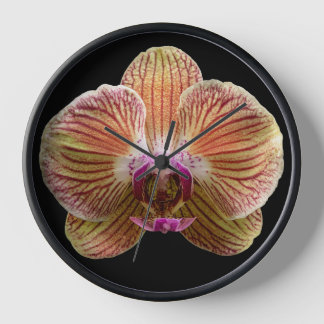 Orchid on Black Background Clock