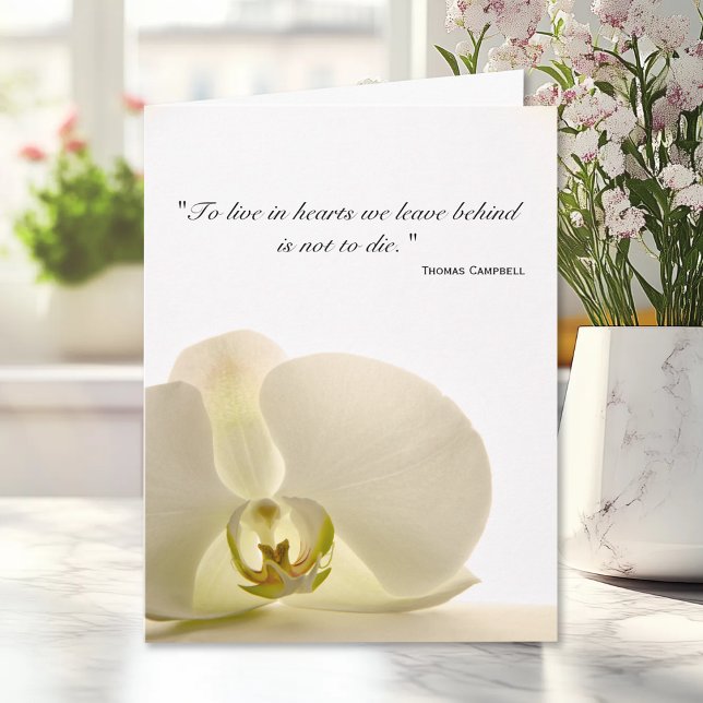 Orchid on White Sympathy Thank You (Creator Uploaded)