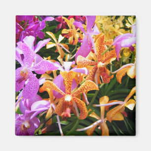 Orchid Party Magnet