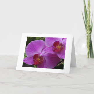 Orchid Perfection Card