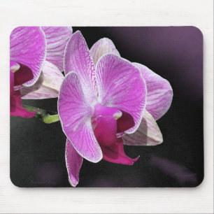 Orchid Phalae Mousepad