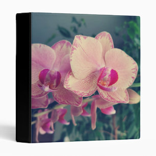 Orchid phalaenopsis ppolka dot pink flowers floral binder