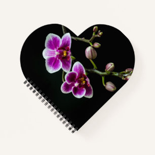 Orchid pink white colour on black pale gentle  notebook