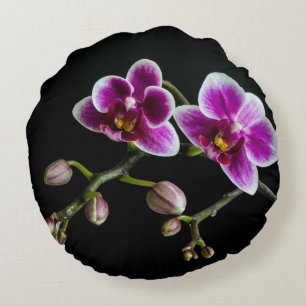 Orchid pink white colour on black pale gentle  round pillow
