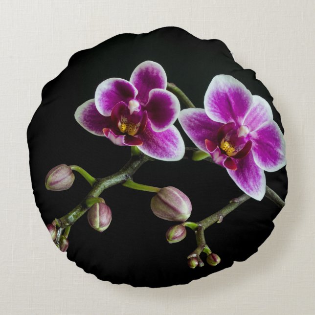 Orchid pink white colour on black pale gentle  round pillow (Back)