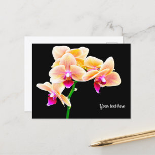 Orchid Postcard