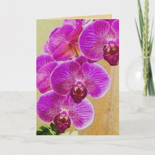 Orchid Promises can be personalized Holiday Card