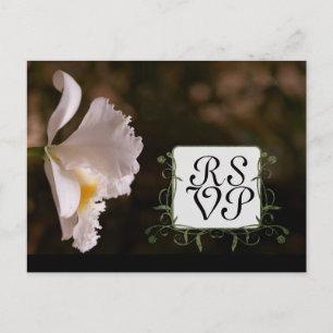 Orchid Response Card