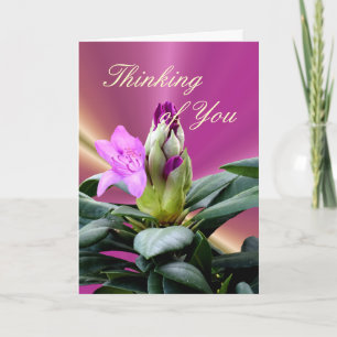 Orchid Rhododendron Buds-customize any attendant Card