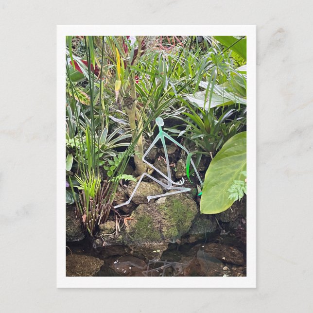 Orchid Room Stick Figures 1 | Phipps Conservatory Postcard (Front)