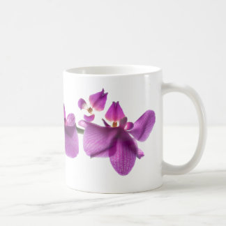 Orchid Row on White 11 oz Classic White Mug