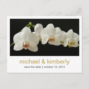 Orchid   Save the Date Announcement Postcard