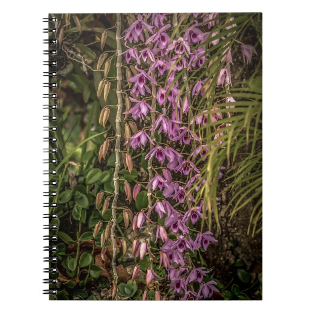 Orchid Spiral Photo Notebook (Front)