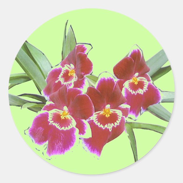 Orchid Spray Sticker Seal (Front)