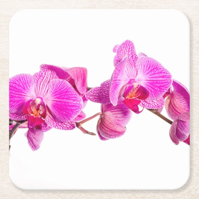 Orchid Square Paper Coaster (Front)