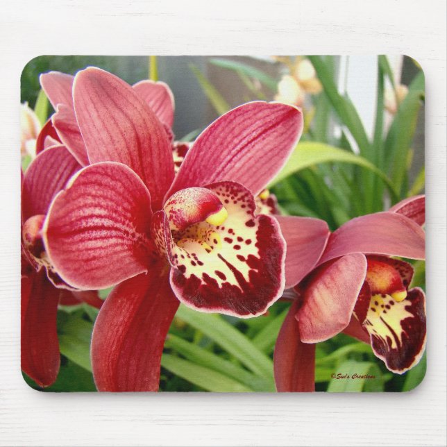 Orchid Standouts Mouse Pad (Front)