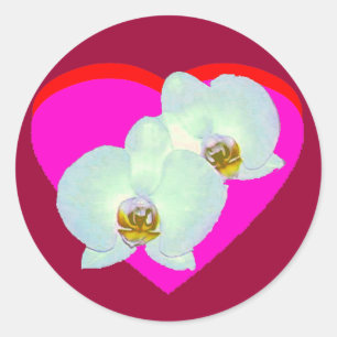 Orchid The MUSEUM Zazzle Gifts Zurich 2000 Classic Round Sticker