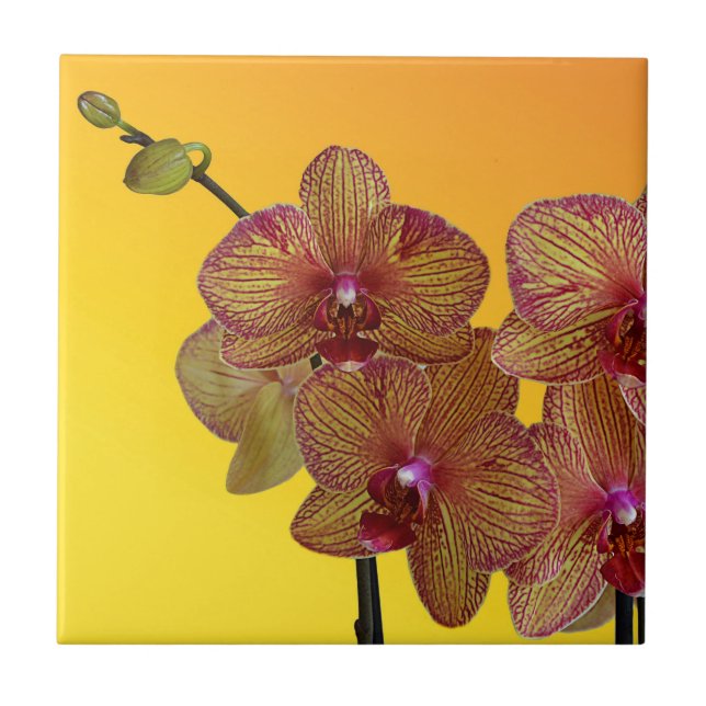 orchid tile (Front)