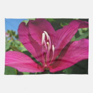 Orchid Tree Blossom Tropical Floral Kitchen Towel