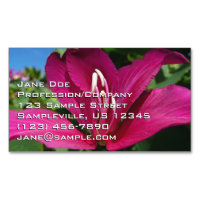 Orchid Tree Blossom Tropical Floral