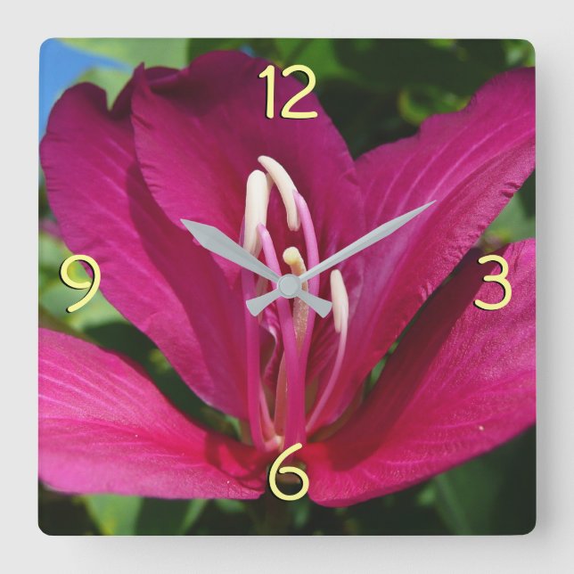 Orchid Tree Blossom Tropical Floral Square Wall Clock (Front)