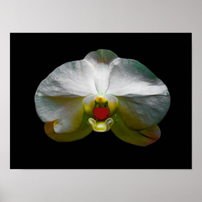 Orchid was Her Heart Poster (Front)
