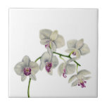 Orchid Watercolor Painting Tile<br><div class="desc">This is a watercolor painting of my orchid plant. I used Daniel Smith watercolor paints on Arches hot pressed paper.</div>