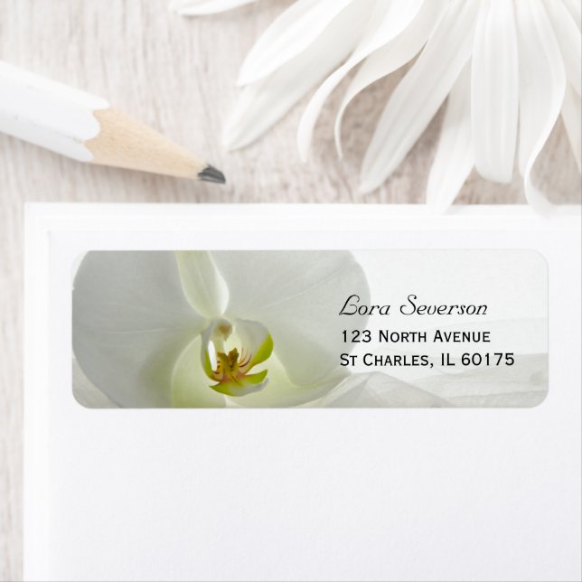 Orchid White et le Voile de la nuptiale Adresse du (En situation)