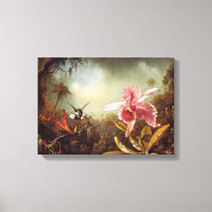 Orchid with Two Hummingbirds Canvas Print