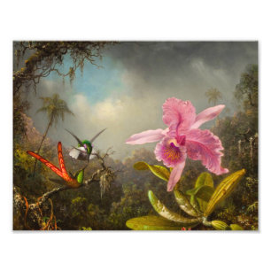 Orchid with Two Hummingbirds Heade Photo Print
